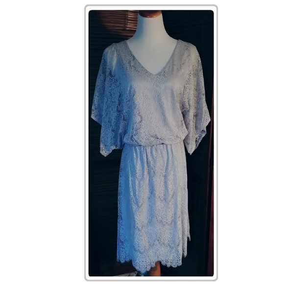 Merona Dresses & Skirts - Grey Lace Dress Fully Lined Ladies Size Large